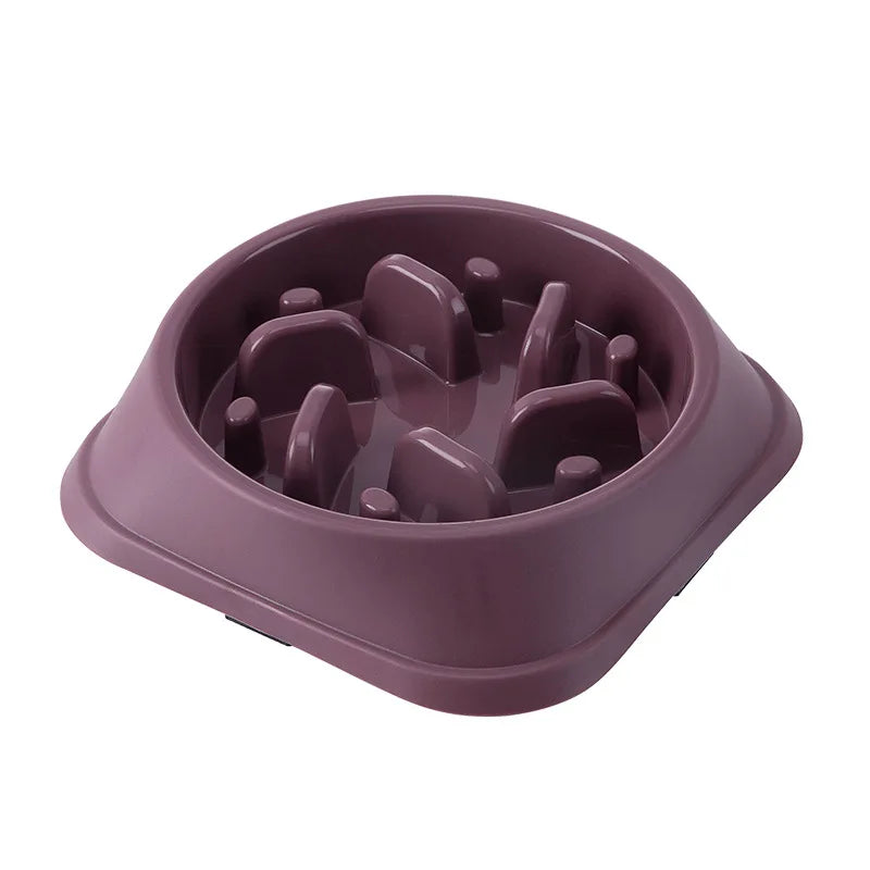 Gamelle Anti-Glouton Épaisse pour Chien & Chat – Bol d'Alimentation Lente Antidérapant (Motifs Multiples)