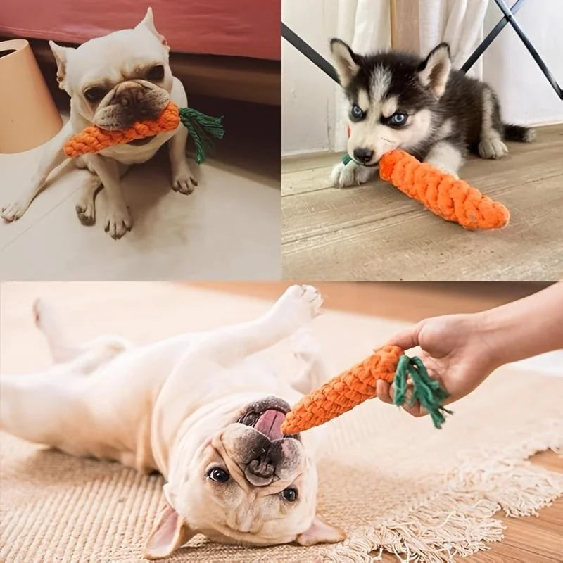 Jouet Carotte en Corde Tressée pour Chien – Soin Dentaire & Mastication