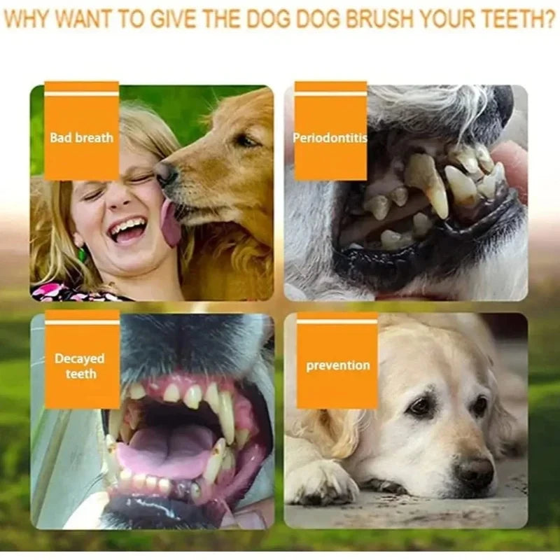 Doigtier Brosse à Dents en Silicone Souple pour Chien & Chat – Hygiène Bucco-Dentaire & Anti-Tartre