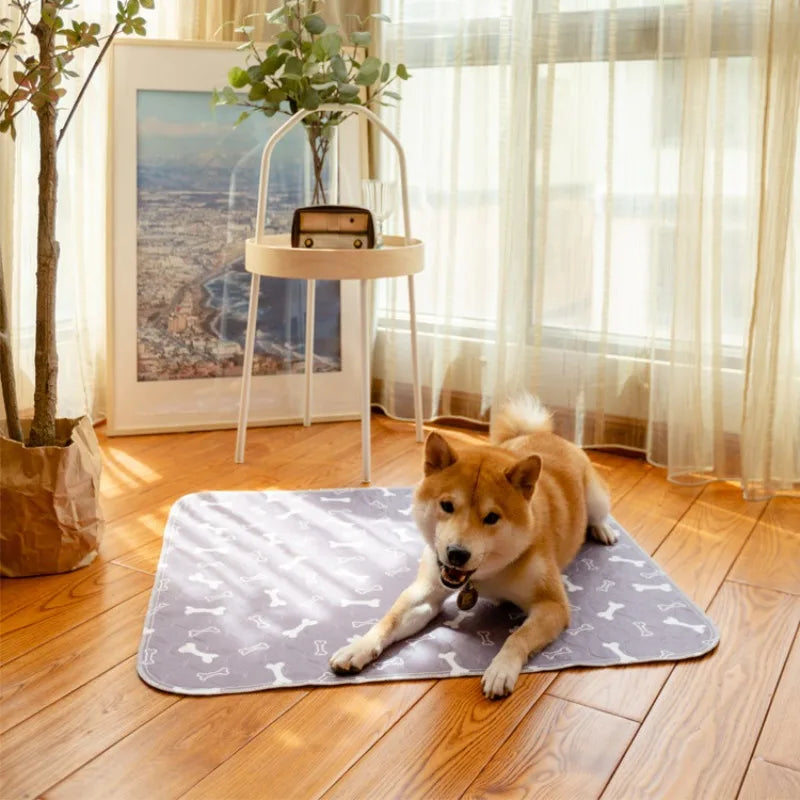 Tapis Absorbant & Imperméable pour Chien et Chat – Alèse Lavable Réutilisable & Antidérapante (XS à L)