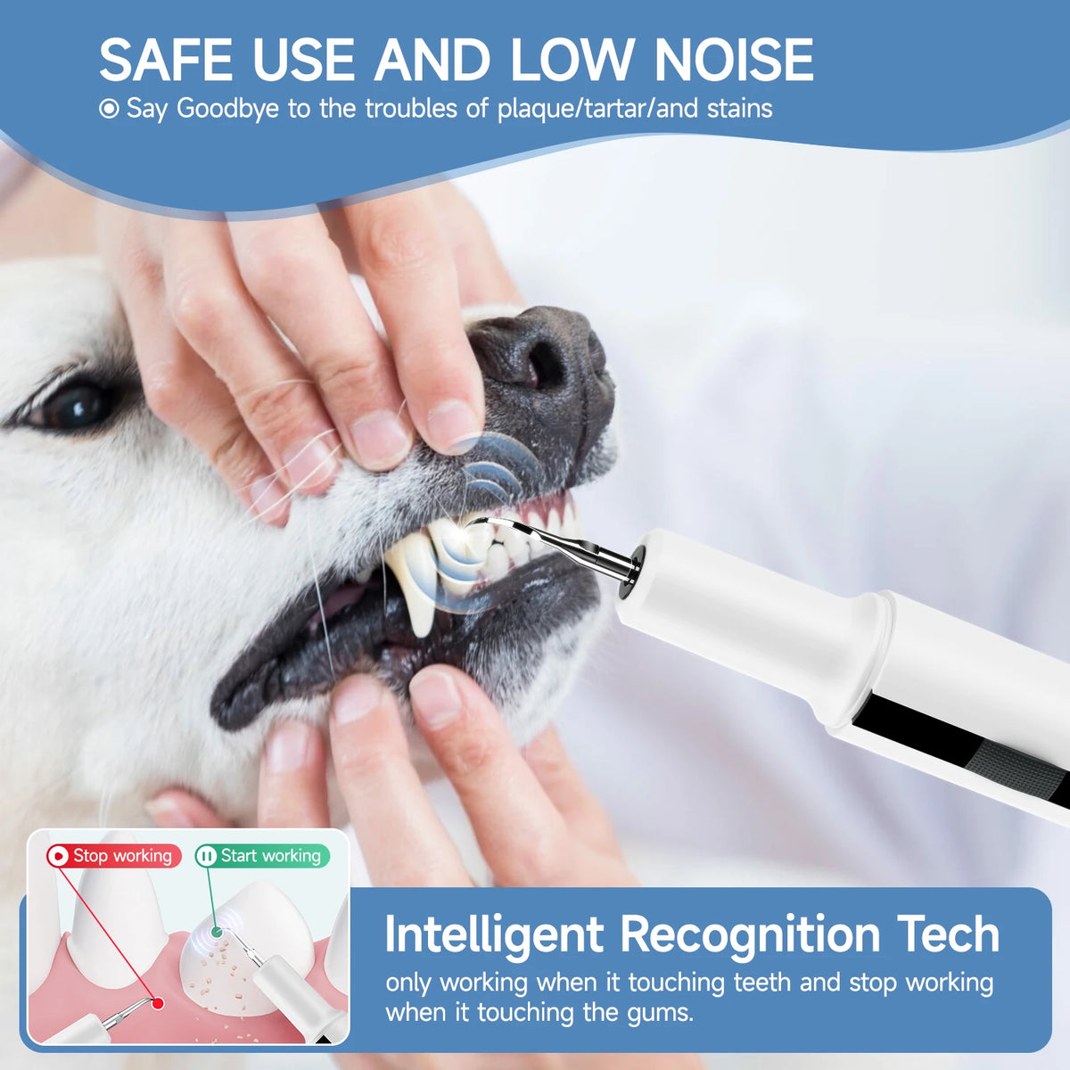 Détartreur Dentaire Ultrasonique pour Chien & Chat – Nettoyeur Anti-Tartre Intelligent Sans Douleur (Rechargeable USB)