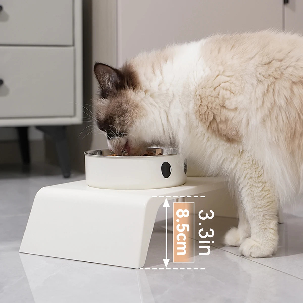 Gamelles Doubles Surélevées en Inox pour Chien & Chat – Support Ergonomique Incliné Anti-Régurgitation