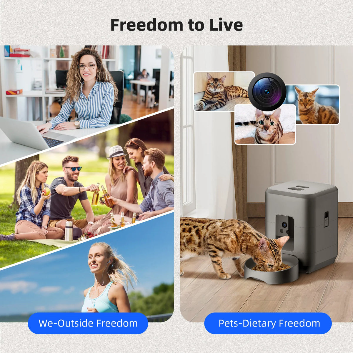 Distributeur Automatique de Croquettes avec Bol Anti-Glouton – Programmable & Connecté Wi-Fi pour Chien & Chat