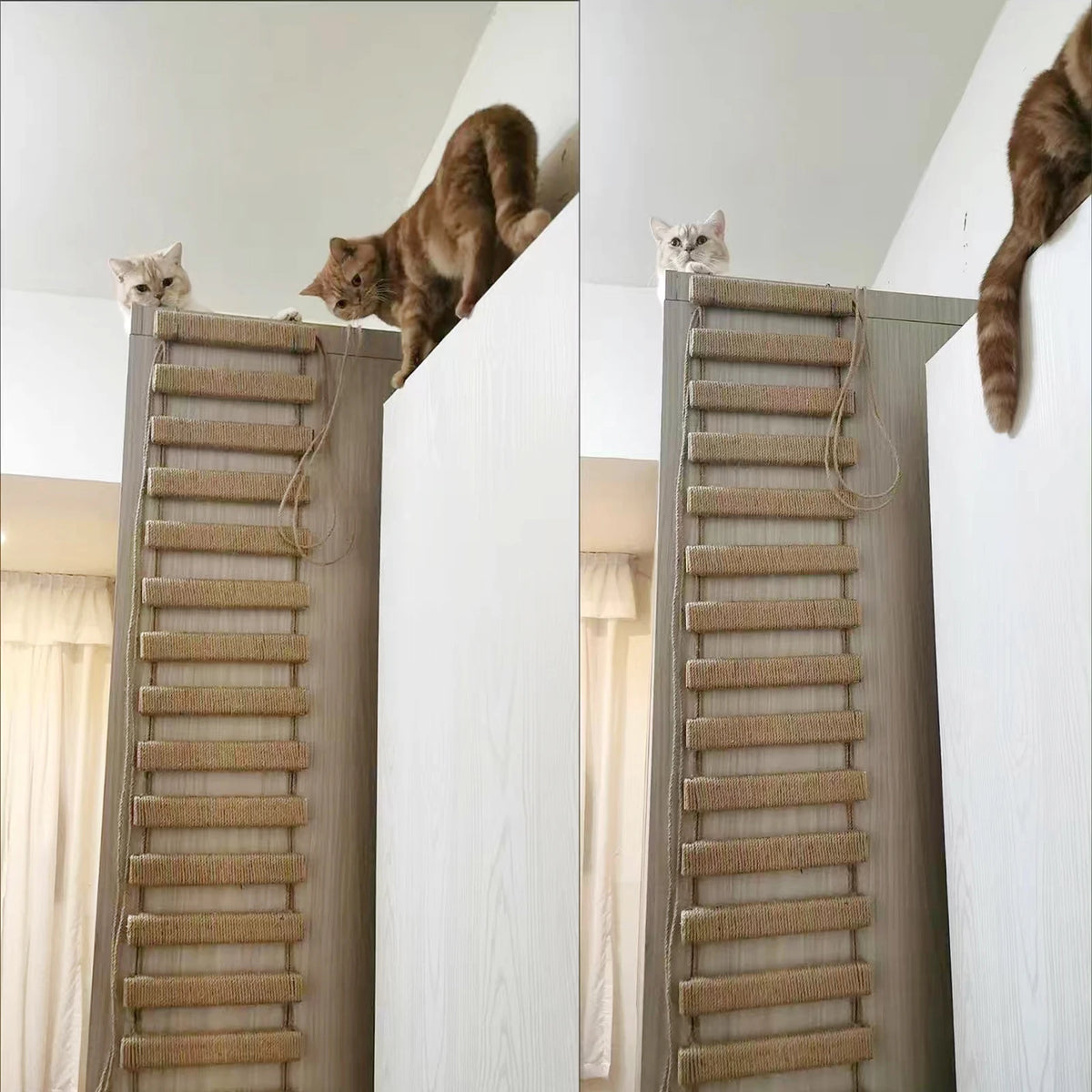 Échelle Suspendue d'Escalade en Bois & Sisal pour Chat – Pont Mural & Griffoir d'Intérieur (115 à 180 cm)
