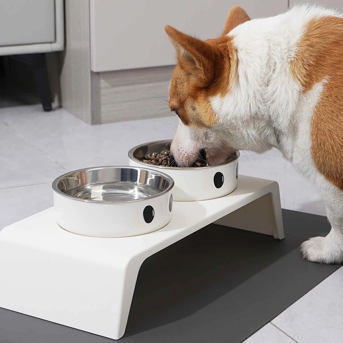 Gamelles Doubles Surélevées en Inox pour Chien & Chat – Support Ergonomique Incliné Anti-Régurgitation