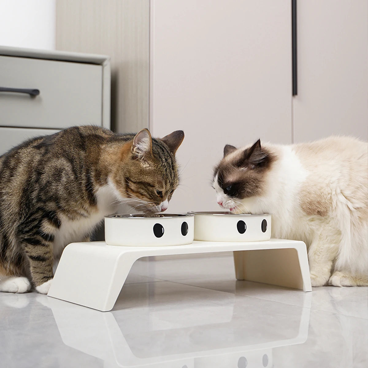 Gamelles Doubles Surélevées en Inox pour Chien & Chat – Support Ergonomique Incliné Anti-Régurgitation