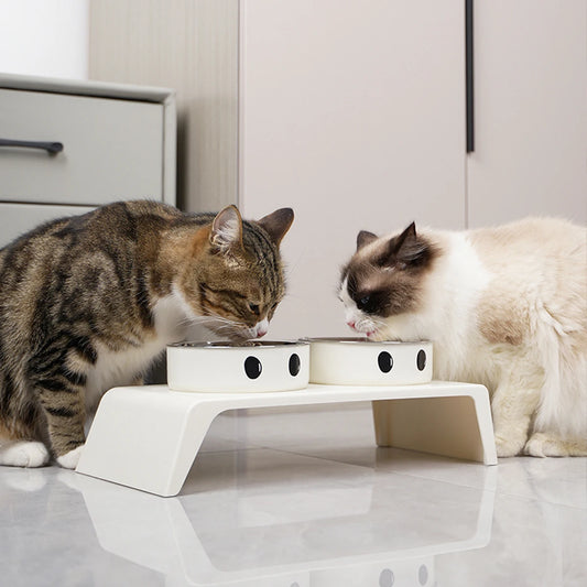 Gamelles Doubles Surélevées en Inox pour Chien & Chat – Support Ergonomique Incliné Anti-Régurgitation