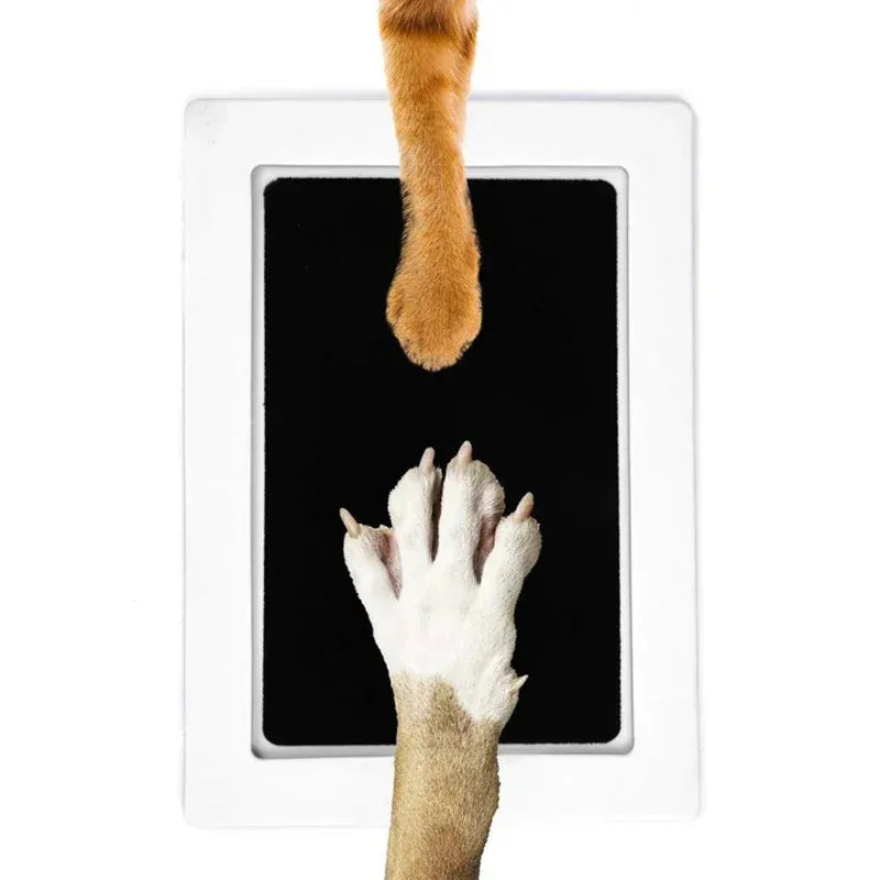 Tampon Encreur Empreinte Chien & Chat Sans Contact – Kit Souvenir Propre & Non Toxique