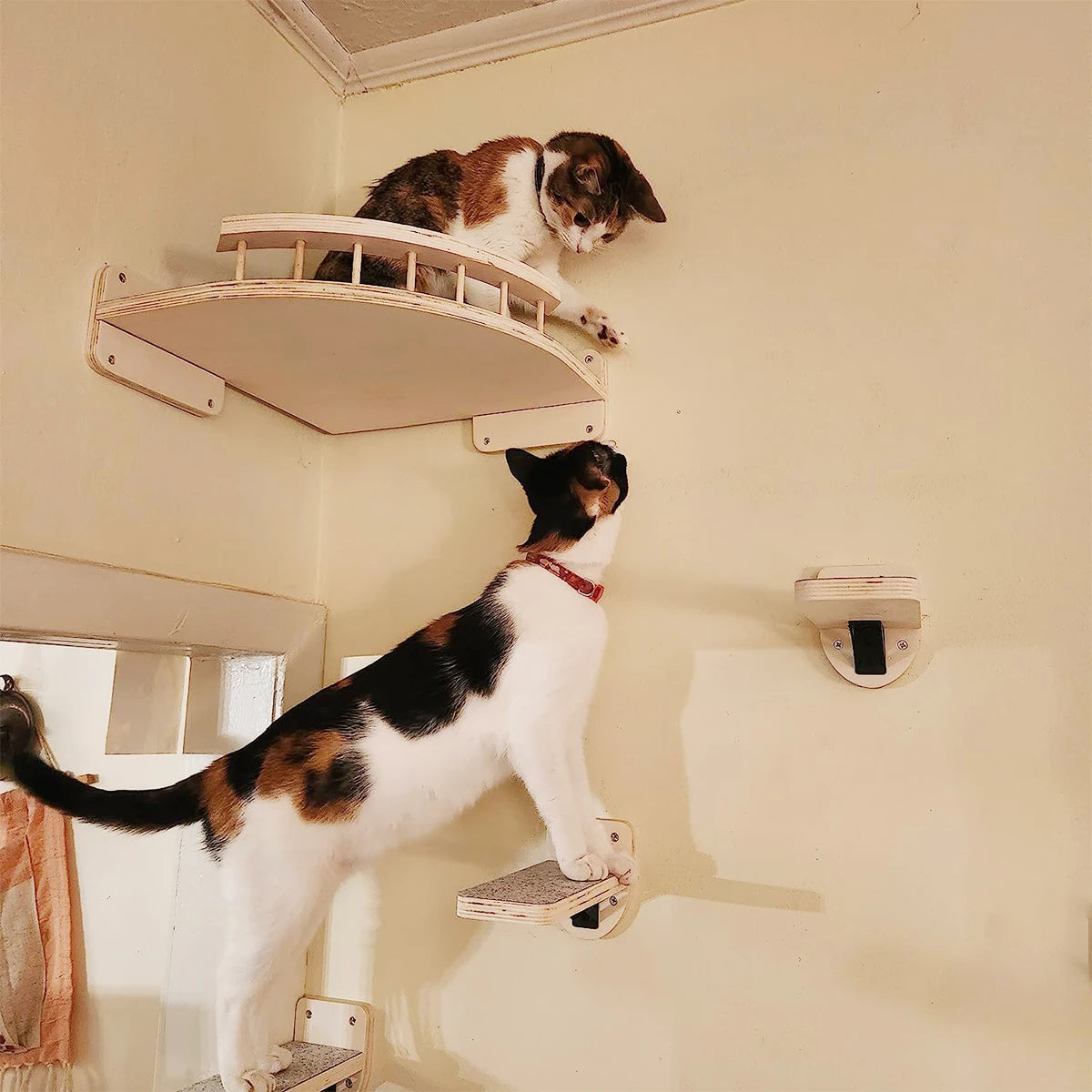 Perchoir d'Angle Mural en Bois avec 3 Marches pour Chat – Lit Hamac Suspendu & Parcours d'Escalade