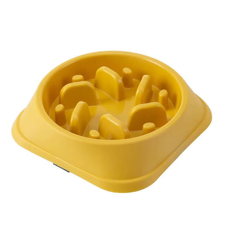 Gamelle Anti-Glouton Épaisse pour Chien & Chat – Bol d'Alimentation Lente Antidérapant (Motifs Multiples)