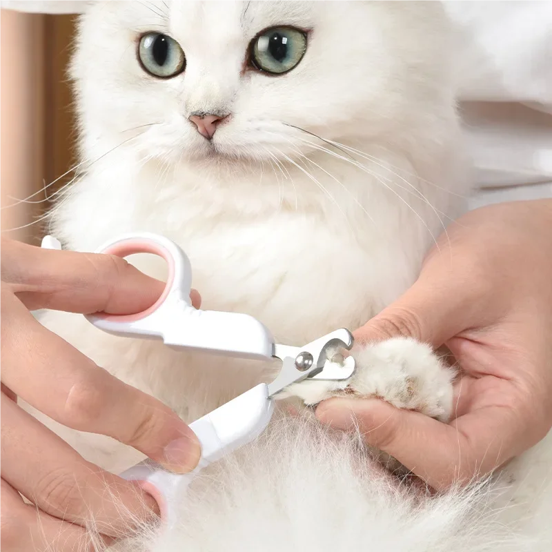 Coupe-Griffes Ciseaux de Précision en Inox pour Chat & Petit Chien – Lame Courbe Sécurisée & Anneaux Antidérapants